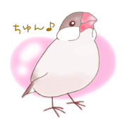 ちゅんこ日和。