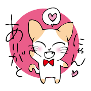 おねだりにゃんこ