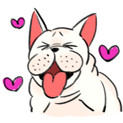 ブヒわんこ