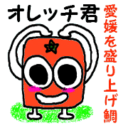 愛媛の四角いミカンと白いミカン