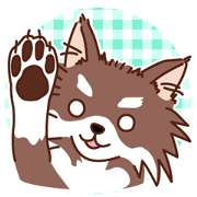 ハロー!チワワちゃん