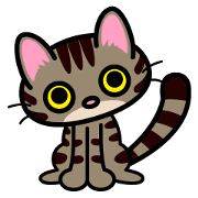 キジトラにゃん仔猫