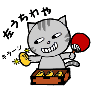ドラ猫&たれみみ子猫