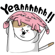 うさ帽子とねこ