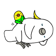 のんちゅ＆ピースケ1