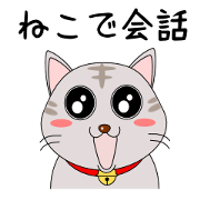 猫で会話