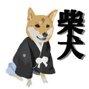 柴犬のいる生活