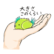 こけ
