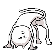 無表情なネコ