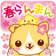 春らんまんのマンチカンキャット♪