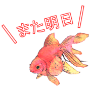 金魚