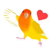 コザクラインコのルビオ