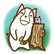 エブリデーチャッペ!!