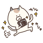 みけさんの日常