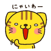 ねこのきほんセット