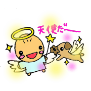 チャッピーと時々ちろる