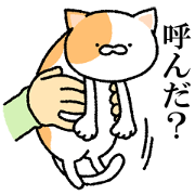 猫にやらせてみた。