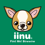 iinu チワワ スムース