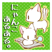 ニャンコあるある。