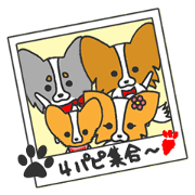 LOVE☆パピ②