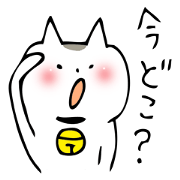 ねこちん