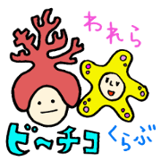 ビーチコくらぶ