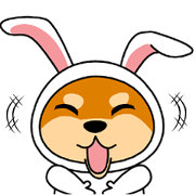 豆柴ウサギ