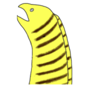 出てこないウツボ