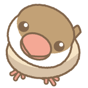 ぶんちょーさん(シナモン)