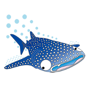 なんちゃってお魚図鑑 No.1