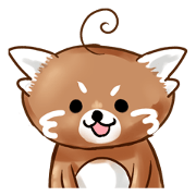 レッサーパンダ