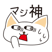 オタクな猫