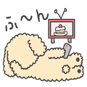 トイプーベビちゃん