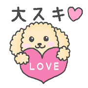 トイプーベビちゃん2