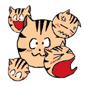 イエネコ　とらぞう