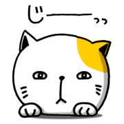 もの作りするネコ。