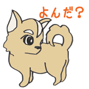 好き好きチワワ