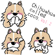 チワワのココちゃん Vol.2