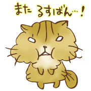 よくやった!チンチラにゃんこのケンタ
