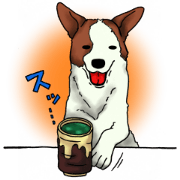 犬の日常part2