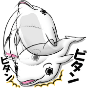 マツゲの白イルカ