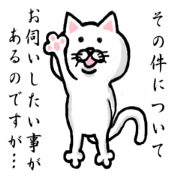 白いにゃんこと何となく丁寧な言葉遣い
