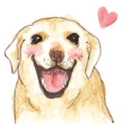 リアルラブラドール!にゃんちゃん