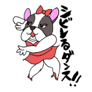 OLブル美の社交ダンス日記