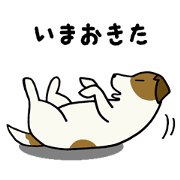 ジャックジャック
