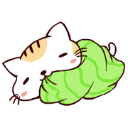 たおるねこ