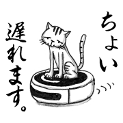 関西ローカル猫のベタな日常