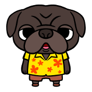 黒パグビビの休日