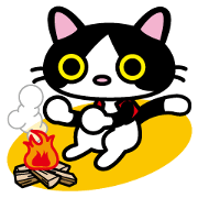 アウトドア大好き猫