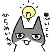 我が家のマーオ
